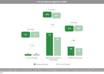 IoT by revenue segment in 2025