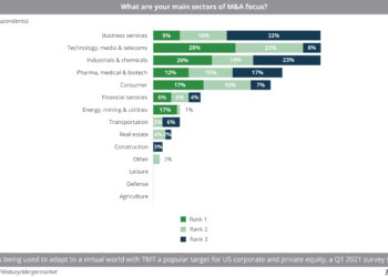 What_are_your_main_sectors_of_M&A_focus_