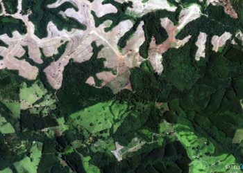 Satellite imagery showing deforestation in Ortigueira, Brazil / Source: Satellogic