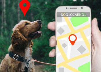 GPS tracker for pets (Courtesy/Trackimo)