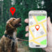 Satellite-enabled tracking app for pets (Courtesy/Trackimo)